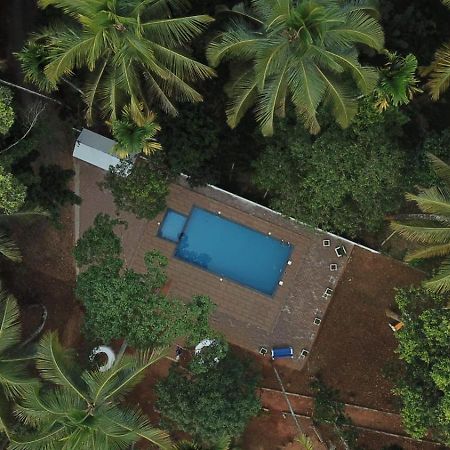 Paddyfield Inn Mananthavady Buitenkant foto