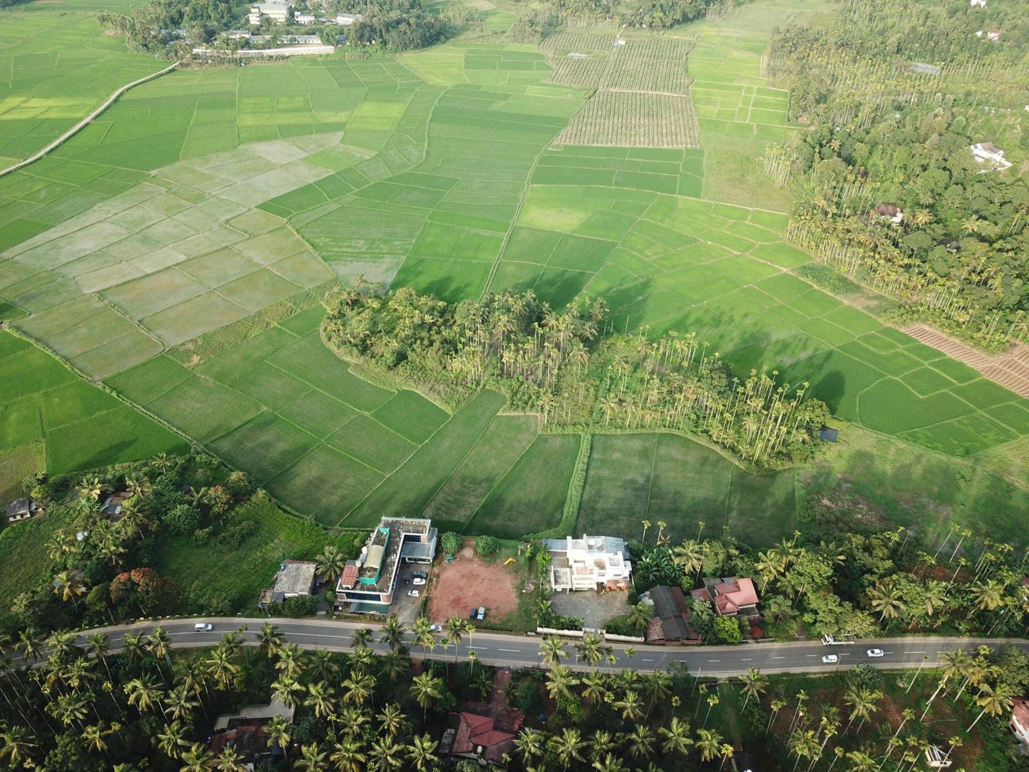 Paddyfield Inn Mananthavady Buitenkant foto