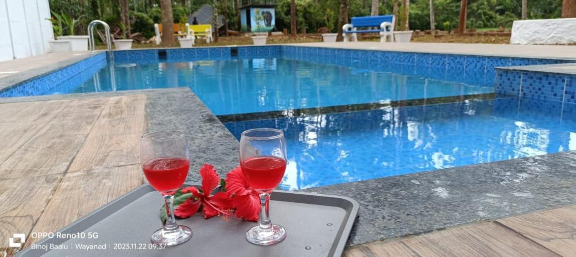 Paddyfield Inn Mananthavady Buitenkant foto
