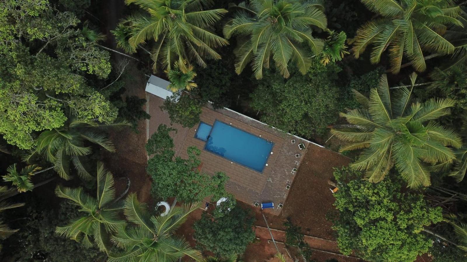 Paddyfield Inn Mananthavady Buitenkant foto