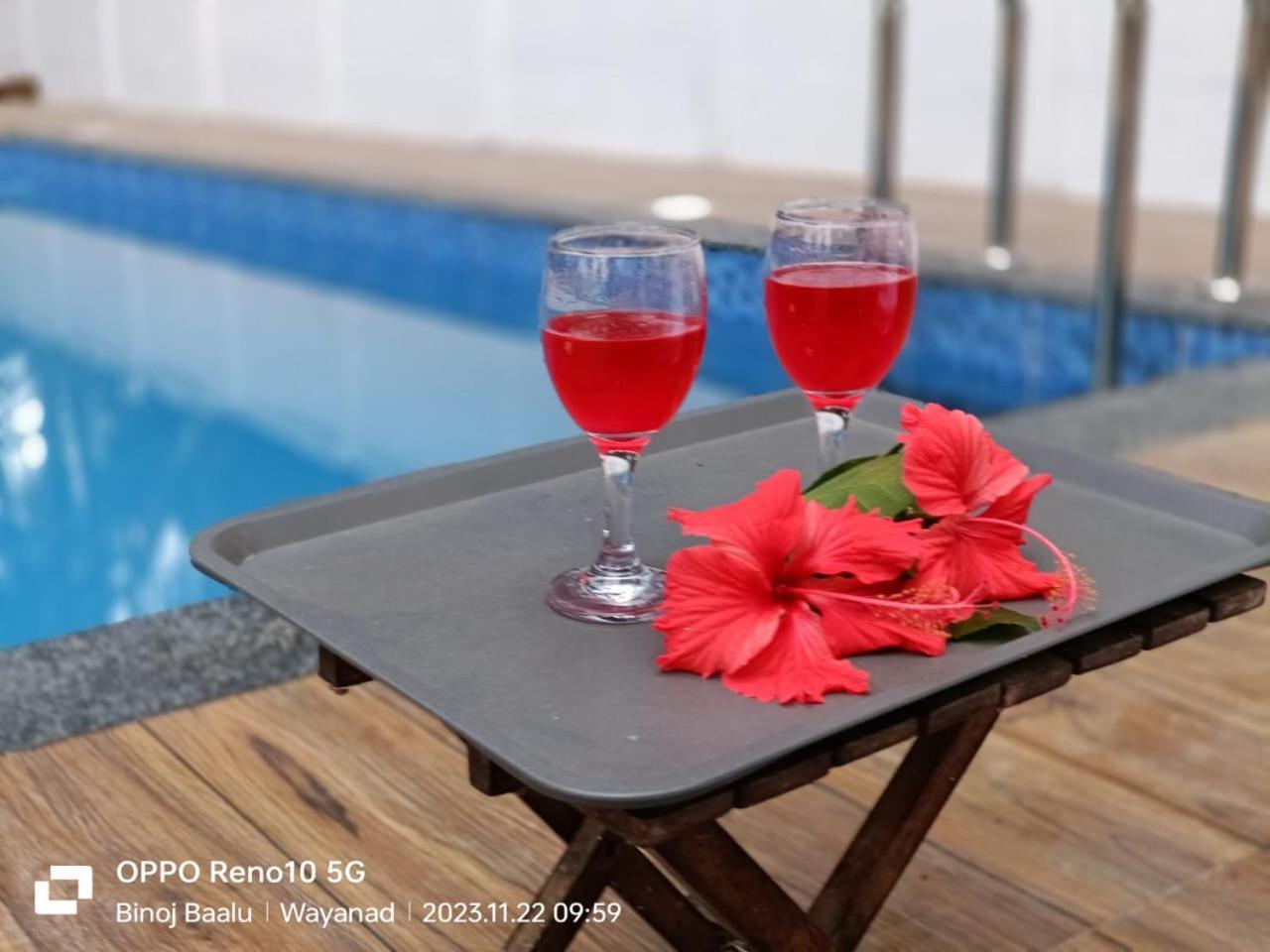 Paddyfield Inn Mananthavady Buitenkant foto