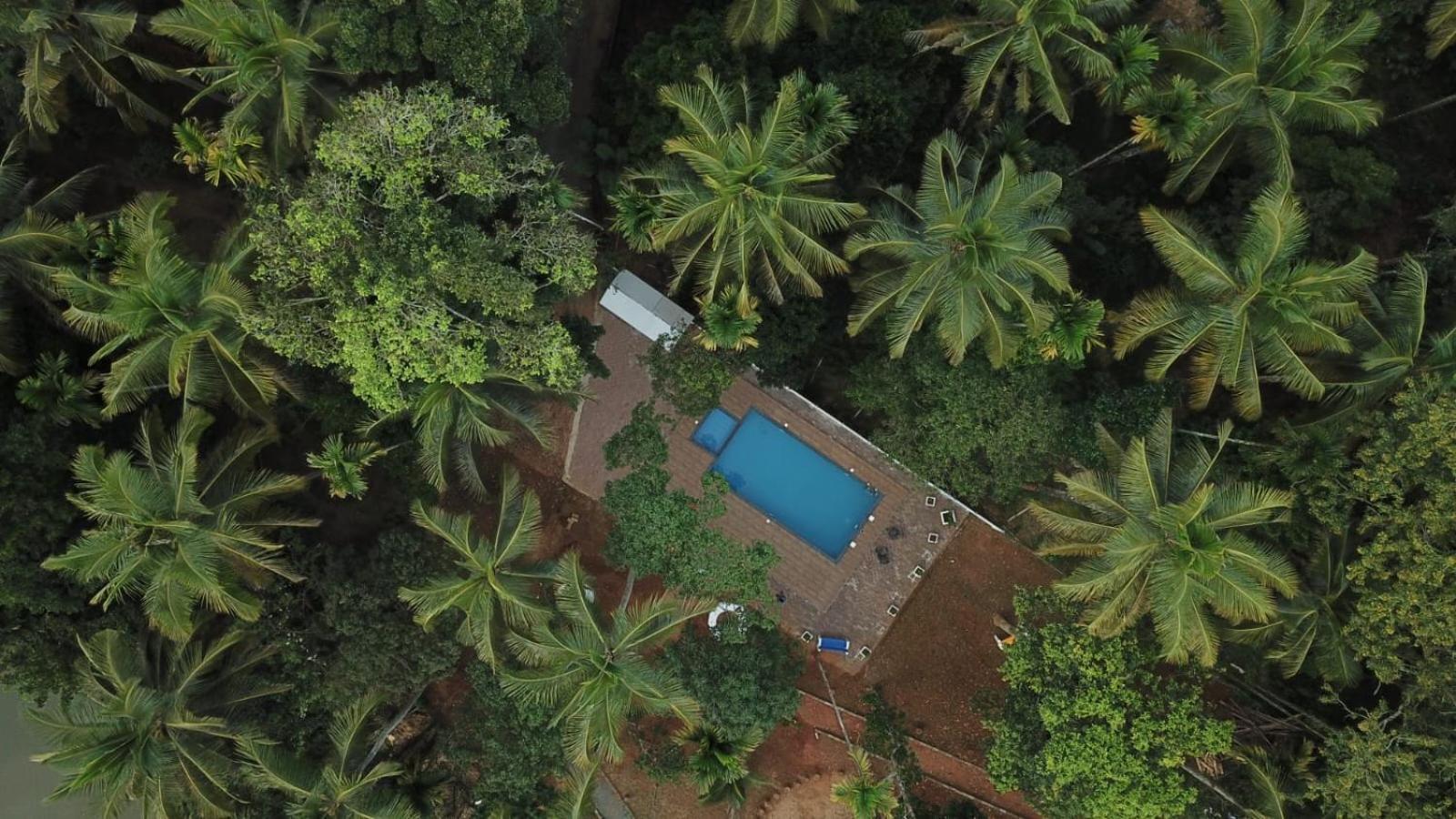 Paddyfield Inn Mananthavady Buitenkant foto