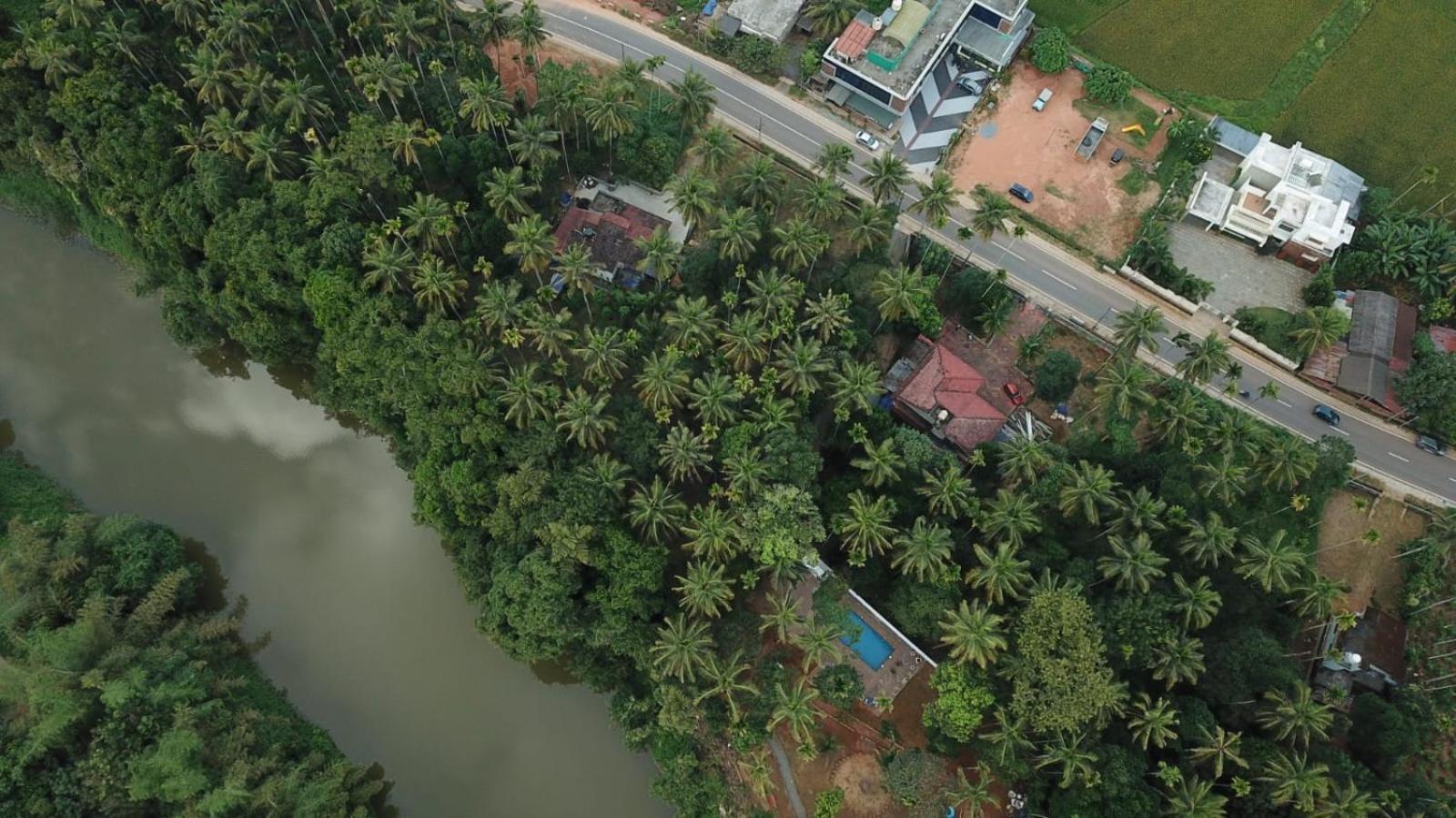 Paddyfield Inn Mananthavady Buitenkant foto