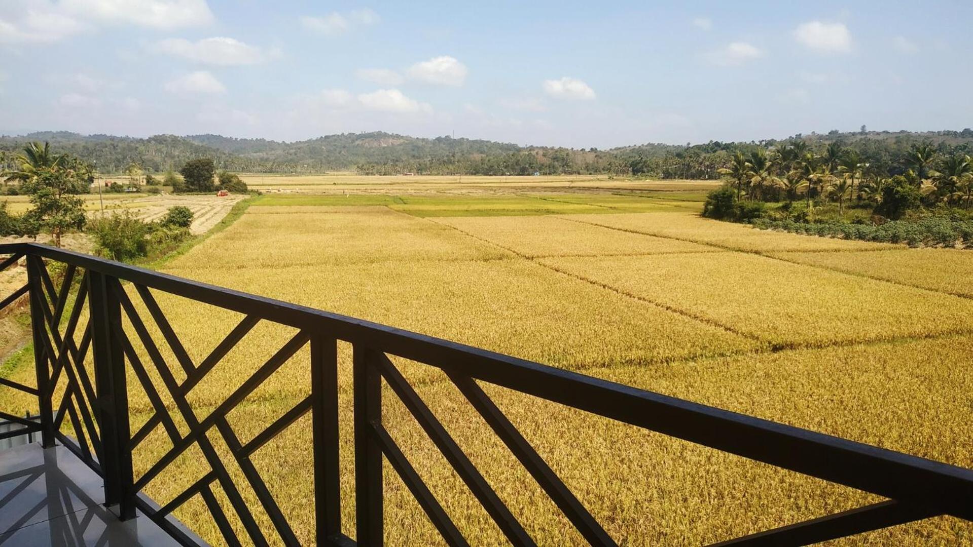 Paddyfield Inn Mananthavady Buitenkant foto