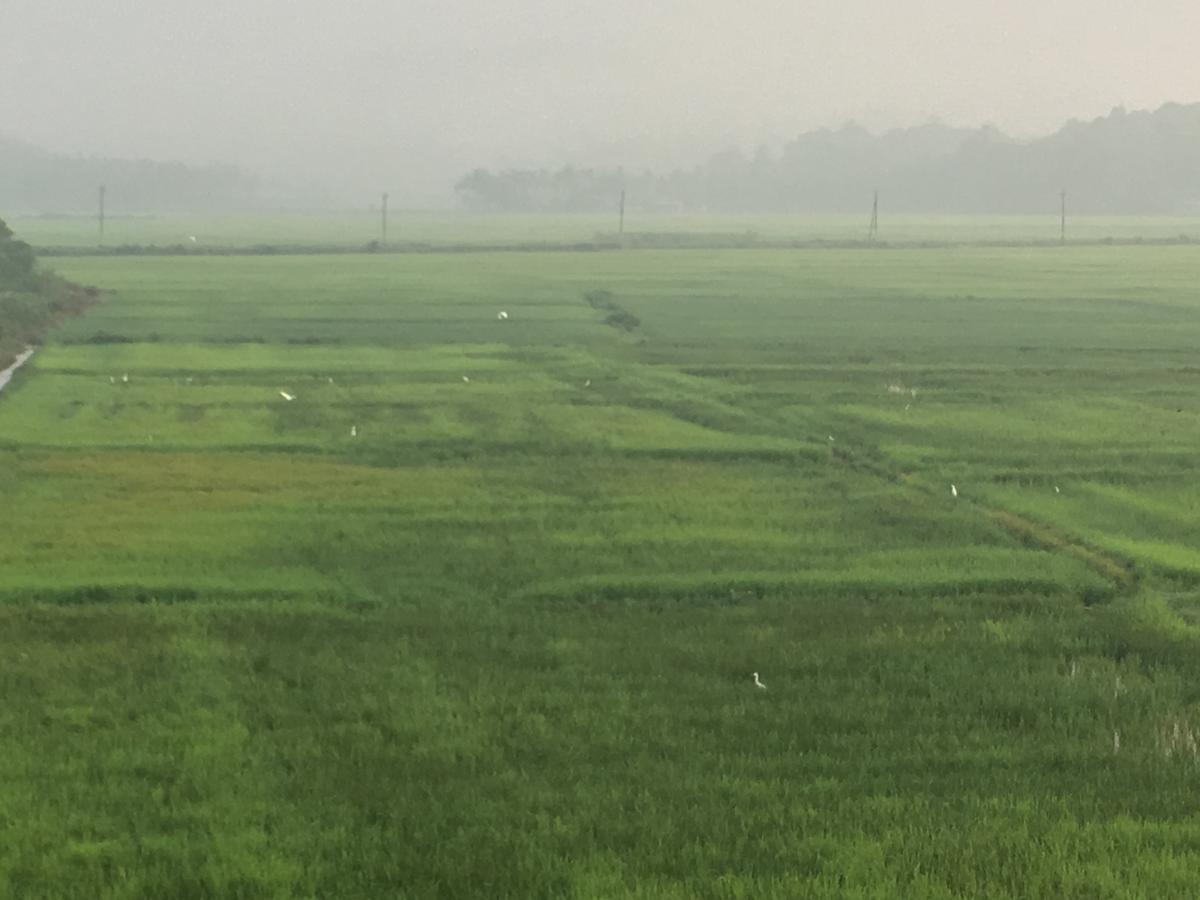 Paddyfield Inn Mananthavady Buitenkant foto