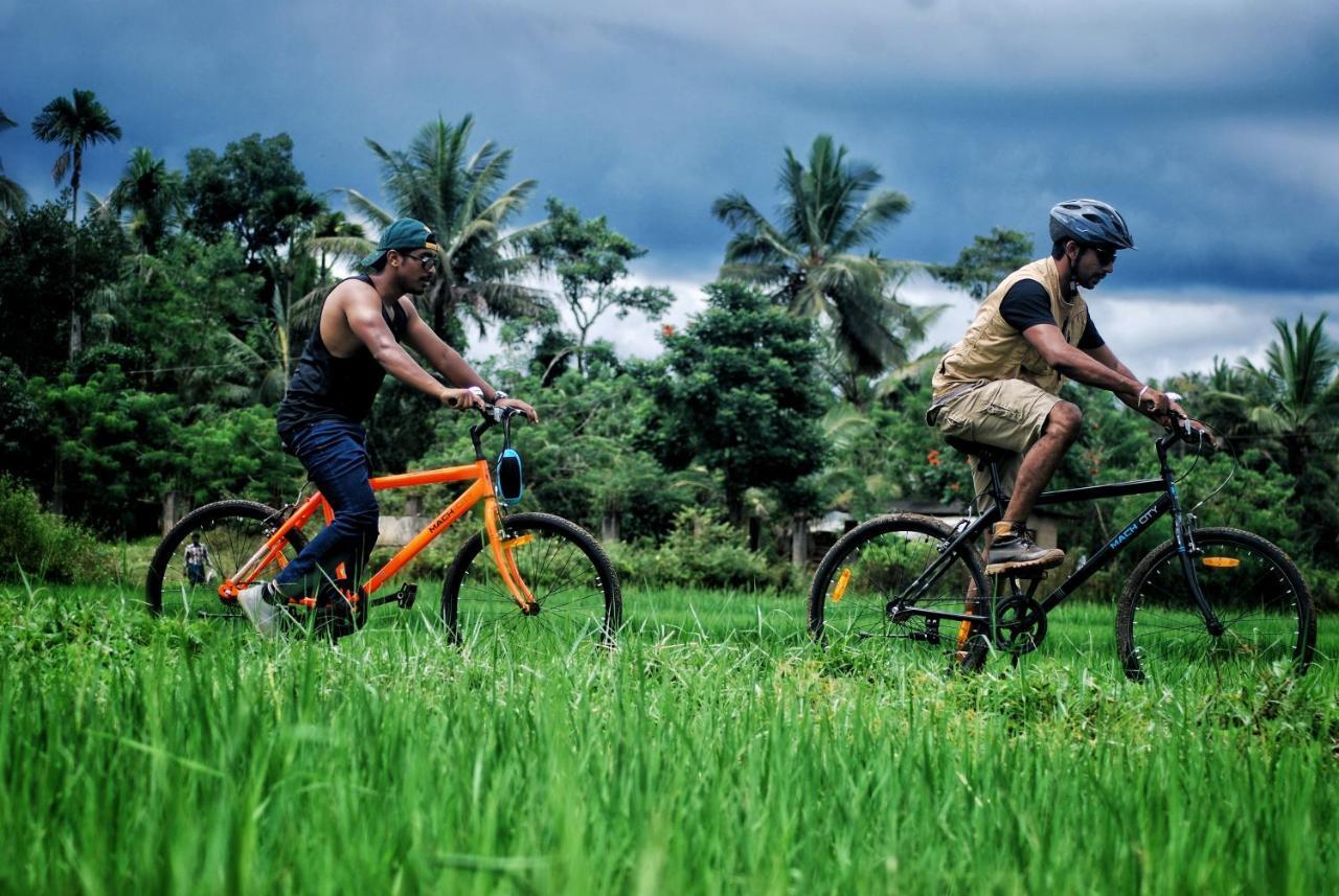 Paddyfield Inn Mananthavady Buitenkant foto