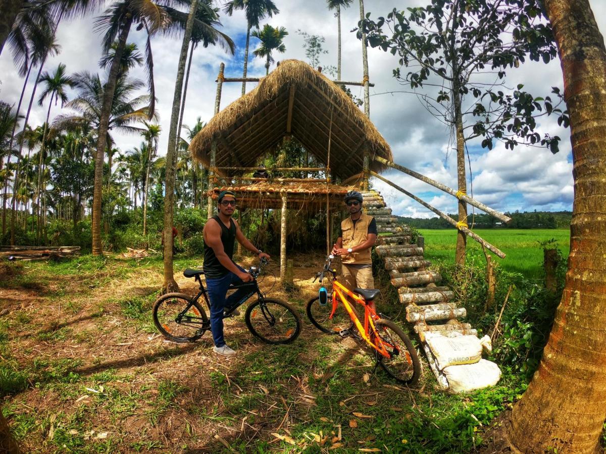 Paddyfield Inn Mananthavady Buitenkant foto